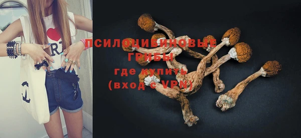 PSILOCYBIN Вязники