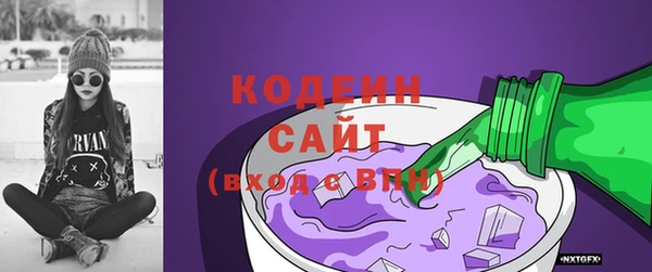 прущая мука Вяземский