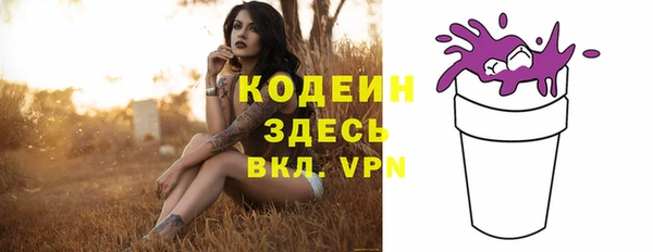 прущая мука Вяземский