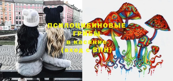 прущая мука Вяземский