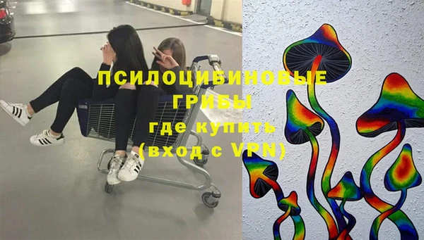 PSILOCYBIN Вязники