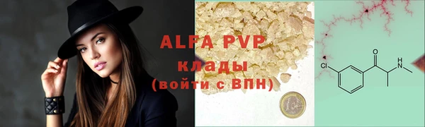 PSILOCYBIN Вязники