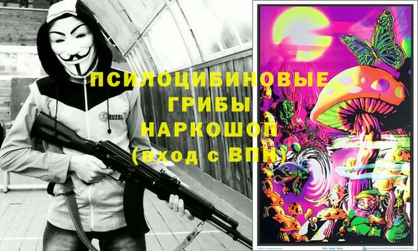 PSILOCYBIN Вязники