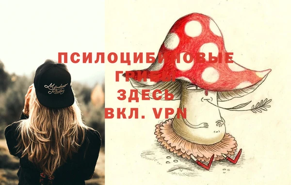 прущая мука Вяземский