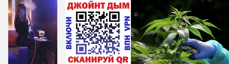 Купить где  Павлово  Канабис гибрид 